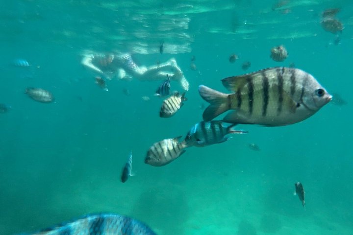Esperienza di snorkeling di mezza giornata nell'isola di Phu Quoc