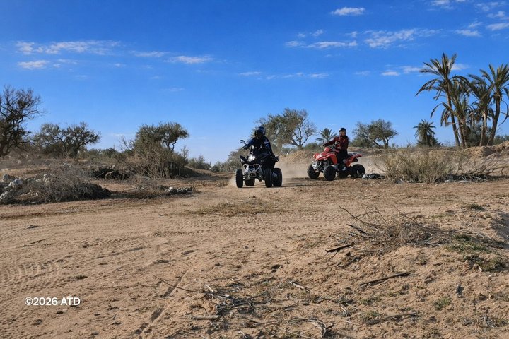 Tour en quad de 90 minutos Djerba Este Mezraya, Ghizen Sidi Mahrez