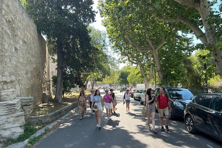 Private Führung durch die römischen Denkmäler von Arles und Van Gogh Trail