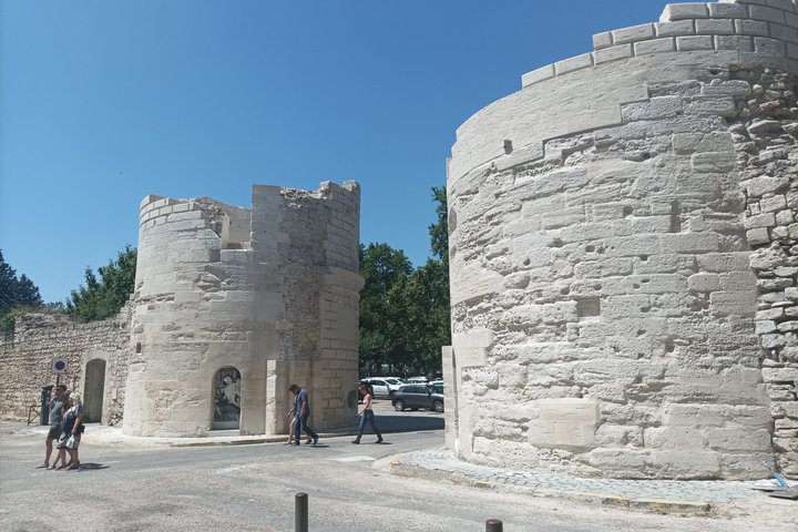 Private Führung durch die römischen Denkmäler von Arles und Van Gogh Trail