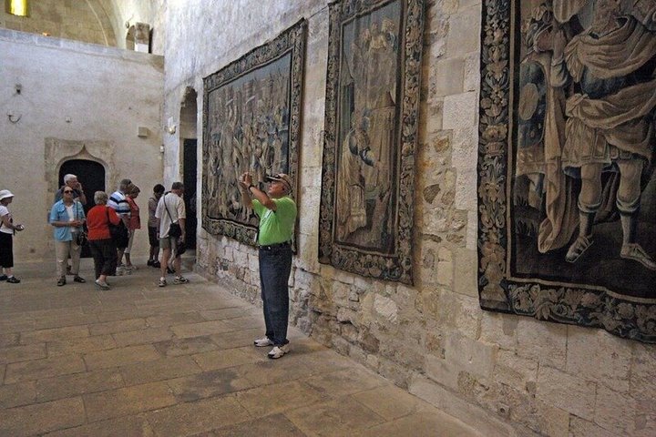 Private Führung durch die römischen Denkmäler von Arles und Van Gogh Trail