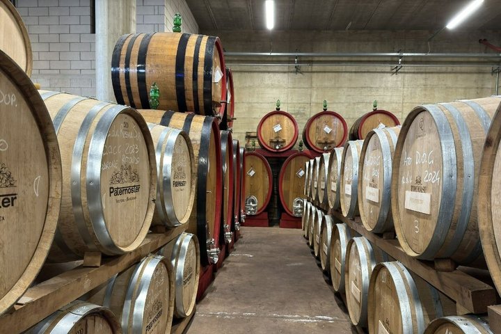 Visita à vinícola Basilicata e degustação de vinhos Aglianico em Barile
