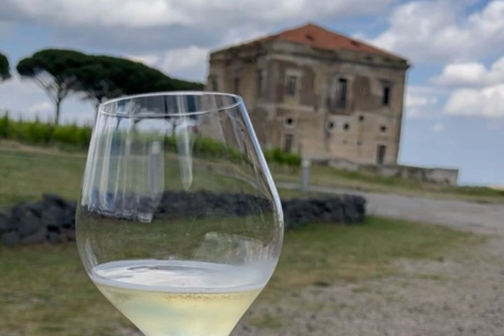 Visita à vinícola Basilicata e degustação de vinhos Aglianico em Barile