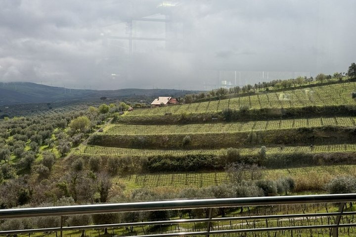 Visita à vinícola Basilicata e degustação de vinhos Aglianico em Barile