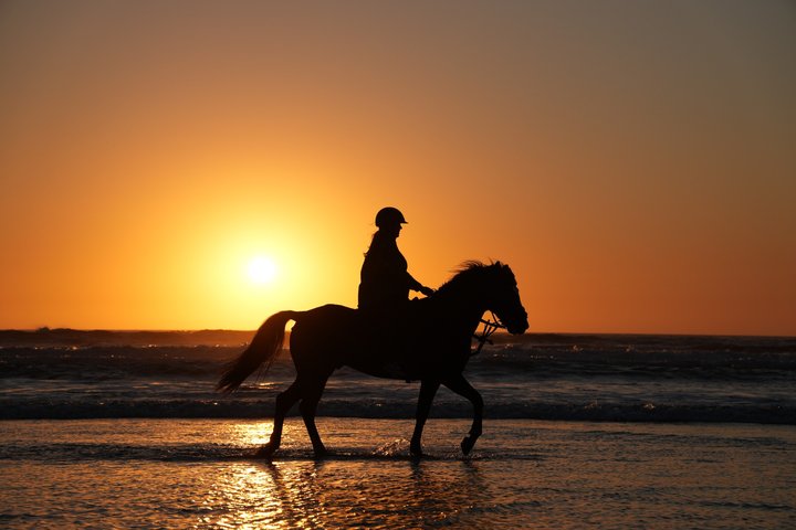 Paseos a caballo en Essaouira - Essaouira HorseRiding