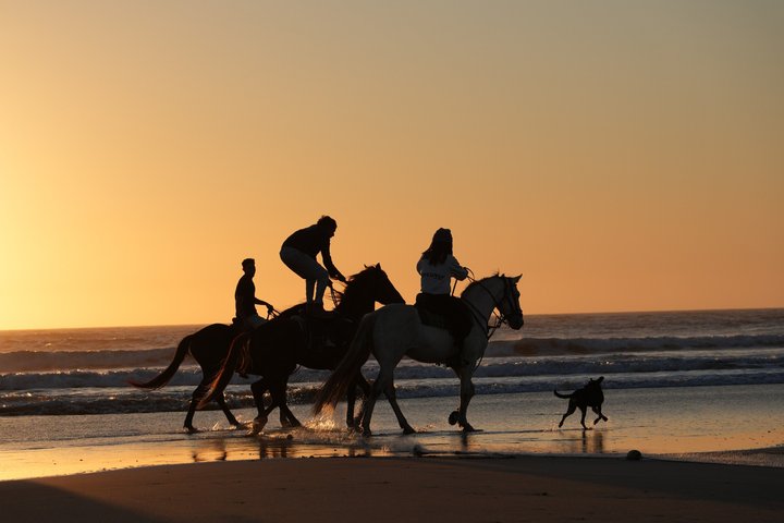 Paseos a caballo en Essaouira - Essaouira HorseRiding