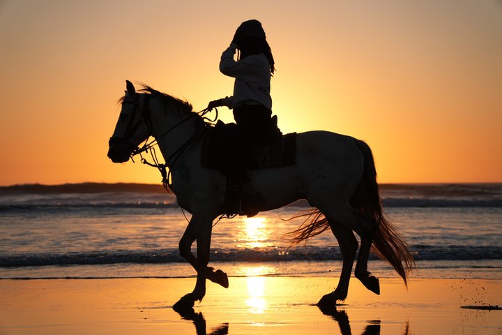 Paseos a caballo en Essaouira - Essaouira HorseRiding