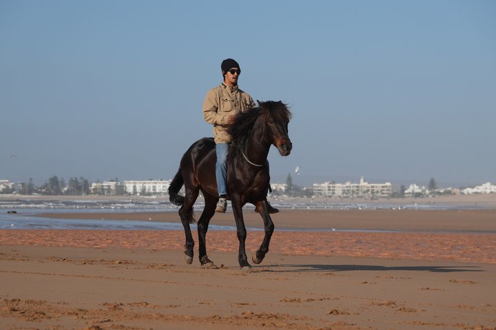 Paseos a caballo en Essaouira - Essaouira HorseRiding