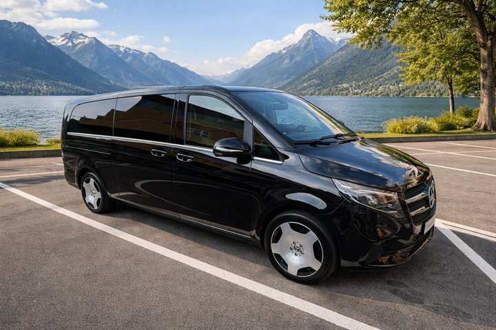 Lavaux UNESCO vingårder og vinsmaking Privat minibuss fra Montreux