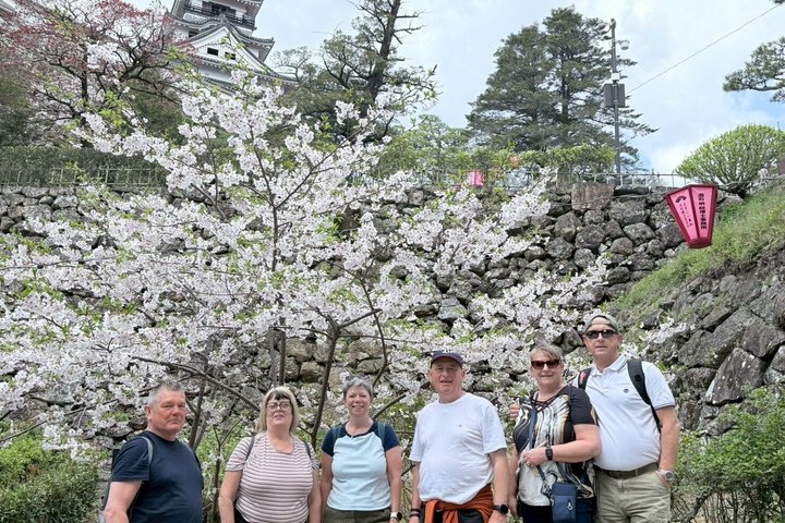 Il meglio di Kochi Tour di mezza giornata: Castello e mercato di Hirome