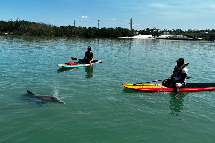Daytona Beach Delfin & Seekühe Tour – Paddleboard oder Kajak