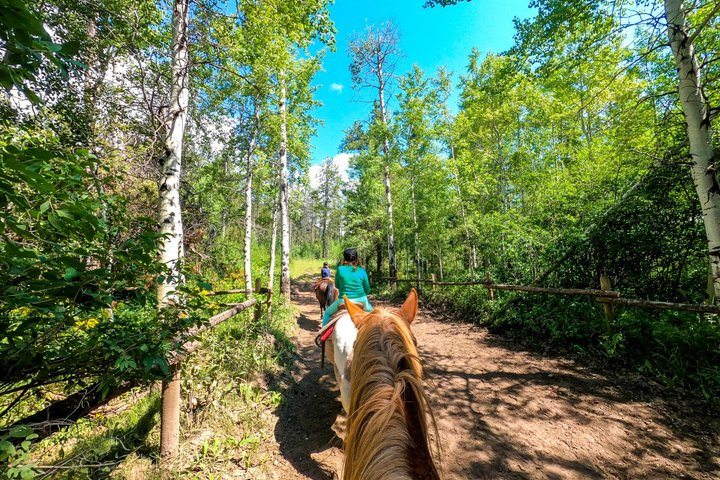 1 hora de passeio a cavalo