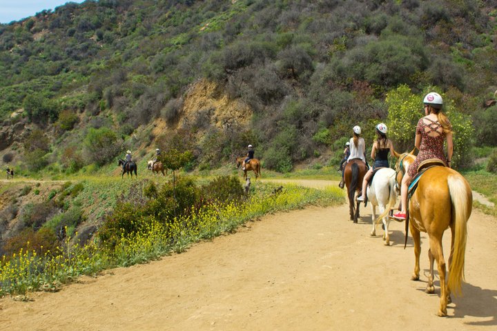 1 hora de passeio a cavalo