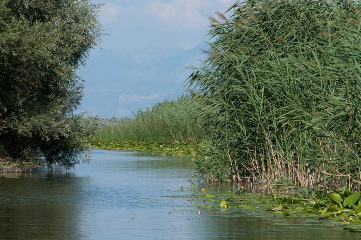 Virpazar Skadar Lake Tour in barca con fauna e natura