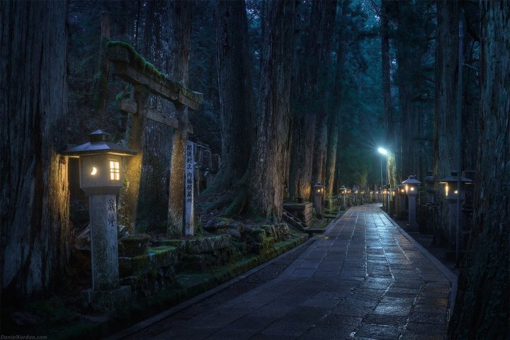 Excursión nocturna a Koyasan Okunoin Experiencia de peregrinación sagrada