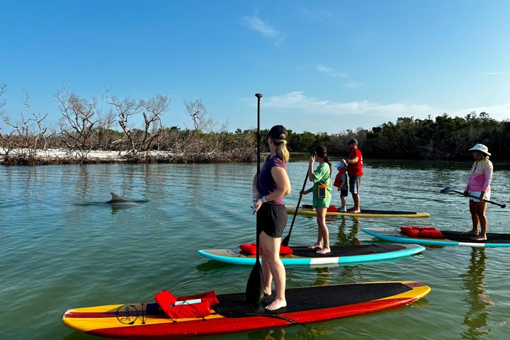 Daytona Beach Delfin & Seekühe Tour – Paddleboard oder Kajak