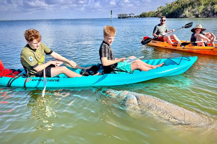 Hoteller i nærheden af Daytona Beach Dolphin & Manatee Kayak Wildlife Adventure