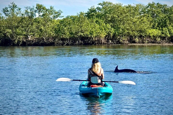 Daytona Beach Delfin & Seekühe Tour – Paddleboard oder Kajak