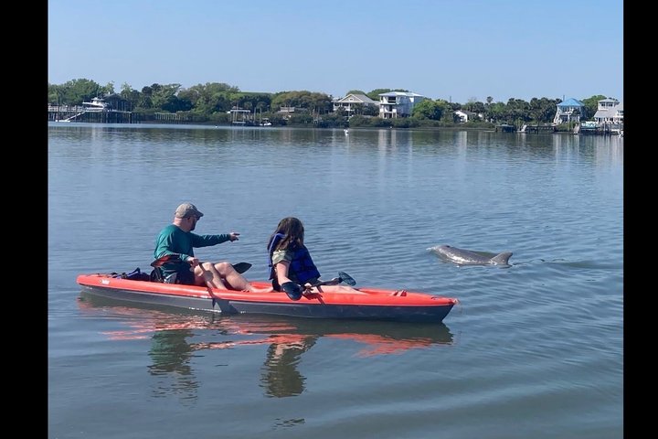 Daytona Beach Delfin & Seekühe Tour – Paddleboard oder Kajak