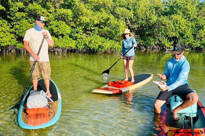 Hoteller i nærheden af Daytona Beach Dolphin & Manatee Kayak Wildlife Adventure