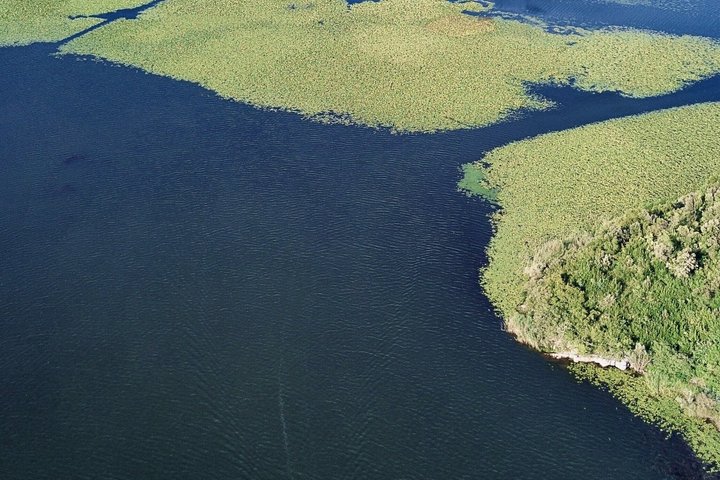 Virpazar Skadar Lake Tour in barca con fauna e natura