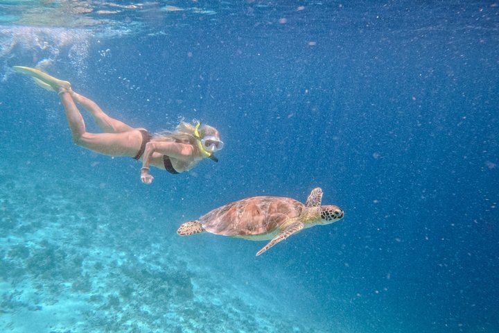 Tour de buceo en grupo por las islas Gili con documentación GoPro