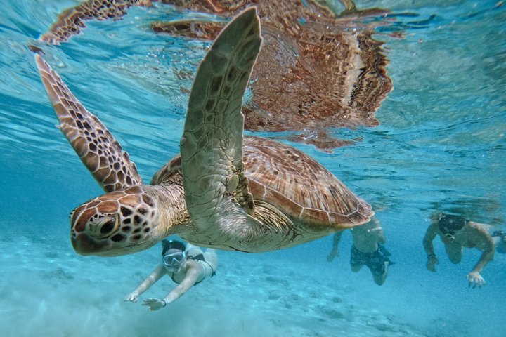 Tour de buceo en grupo por las islas Gili con documentación GoPro