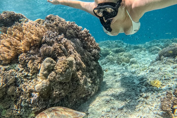 Tour de buceo en grupo por las islas Gili con documentación GoPro