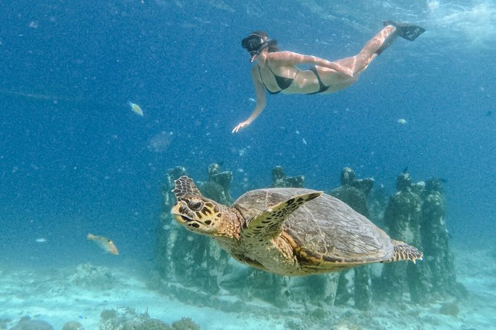 Tour de buceo en grupo por las islas Gili con documentación GoPro