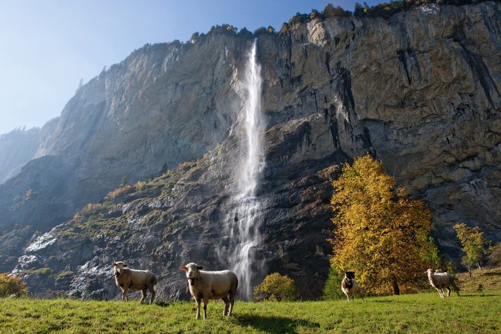 Grindelwald og Lauterbrunnen guidet dagstur fra Interlaken