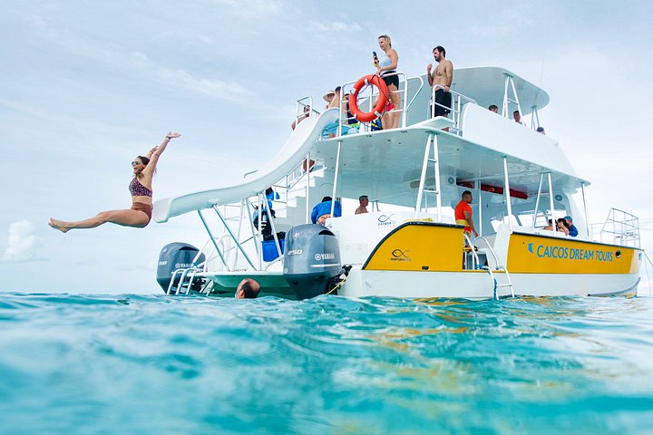Ochtendcruise van een halve dag vanuit Providenciales met snorkelen en Iguana Island