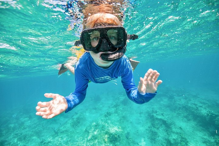 Ochtendcruise van een halve dag vanuit Providenciales met snorkelen en Iguana Island