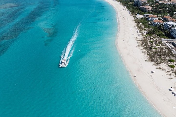 Ochtendcruise van een halve dag vanuit Providenciales met snorkelen en Iguana Island