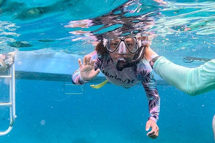 Ochtendcruise van een halve dag vanuit Providenciales met snorkelen en Iguana Island