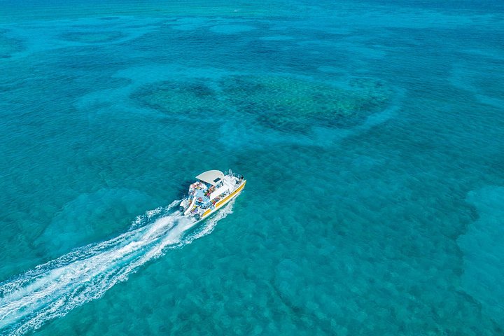 Ochtendcruise van een halve dag vanuit Providenciales met snorkelen en Iguana Island