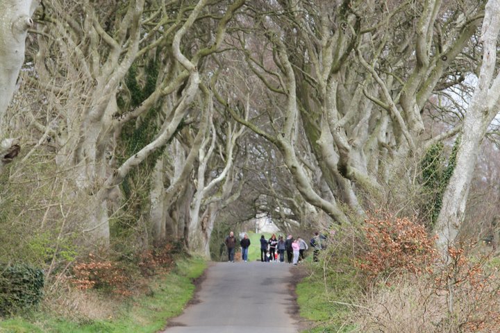Ultimative Causeway Coast Private Tour - Von Belfast bis zu 4 Personen