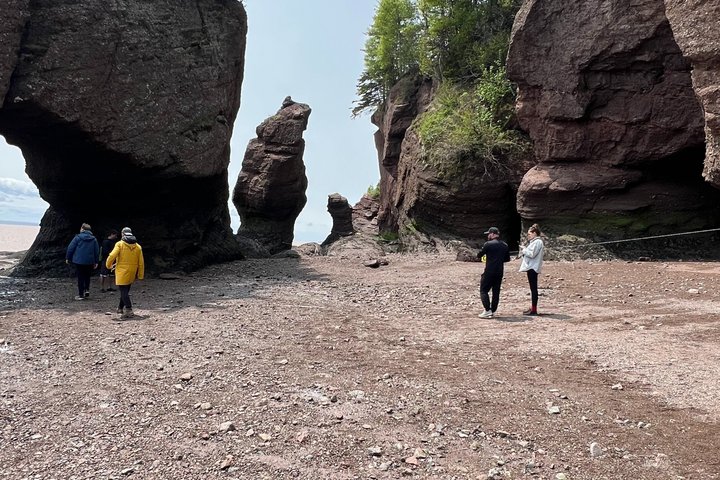 Saint John (NB) Bay of Fundy und Hopewell Rocks Private Tour