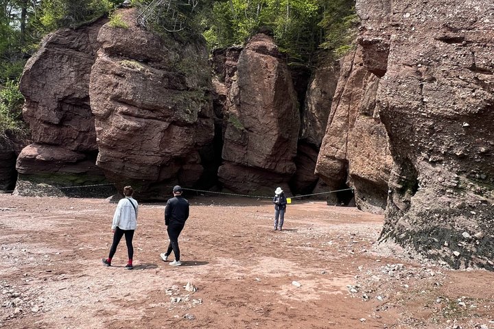 Saint John (NB) Bay of Fundy und Hopewell Rocks Private Tour