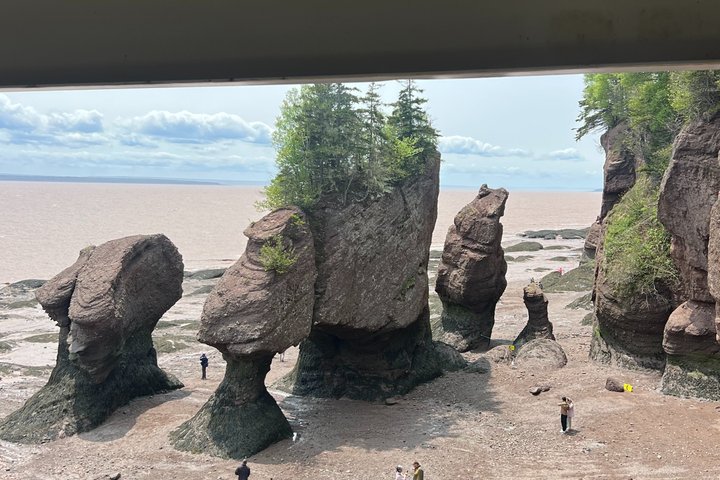 Saint John (NB) Bay of Fundy und Hopewell Rocks Private Tour