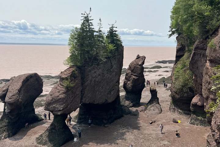 Saint John (NB) Bay of Fundy und Hopewell Rocks Private Tour