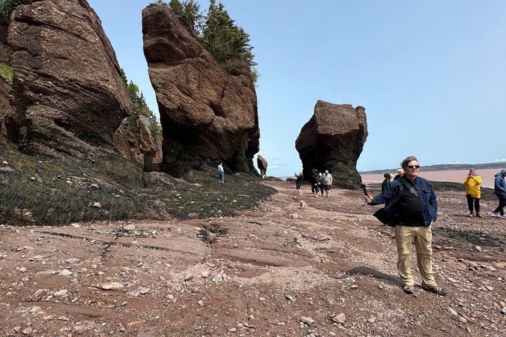 Saint John (NB) Bay of Fundy und Hopewell Rocks Private Tour