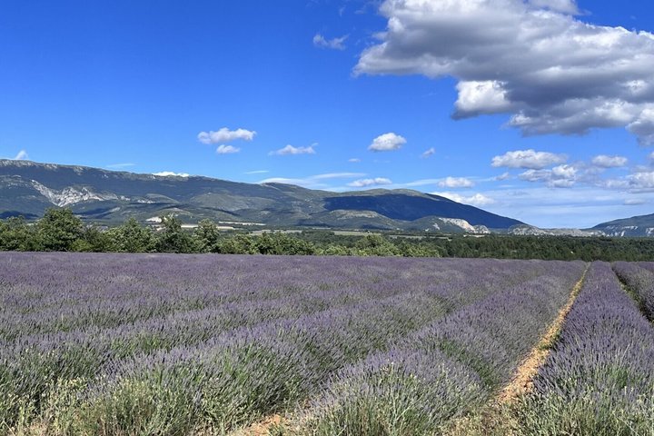 De storslåede bjerglandsbyer i Luberon på en privat dagstur