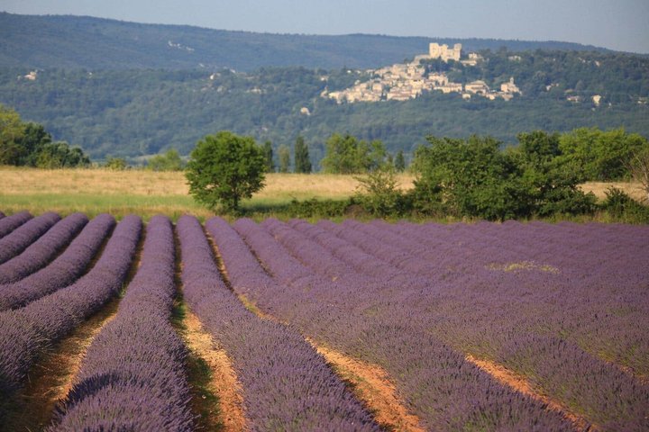 De storslåede bjerglandsbyer i Luberon på en privat dagstur