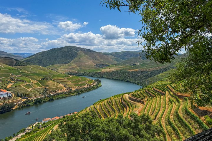 Melhor do Douro num Dia: Barco, Vinho e Almoço Familiar