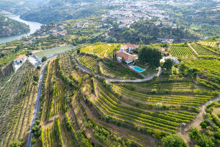 Melhor do Douro num Dia: Barco, Vinho e Almoço Familiar