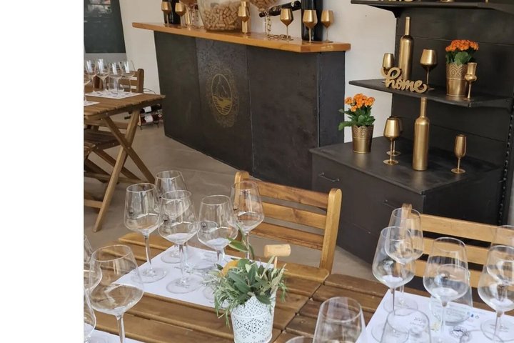 Isola di Krk : tour in cantina, degustazione di vini biodinamici e abbinamento gastronomico