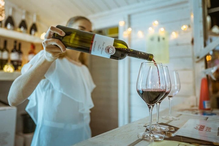 Isola di Krk : tour in cantina, degustazione di vini biodinamici e abbinamento gastronomico