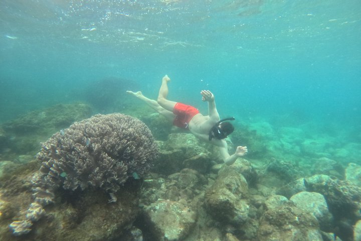 Tour de día completo de buceo con tobogán acuático