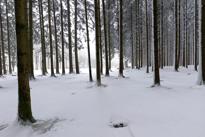 The Battle of the Bulge Experience - Uma excursão de um dia a partir de Bruxelas