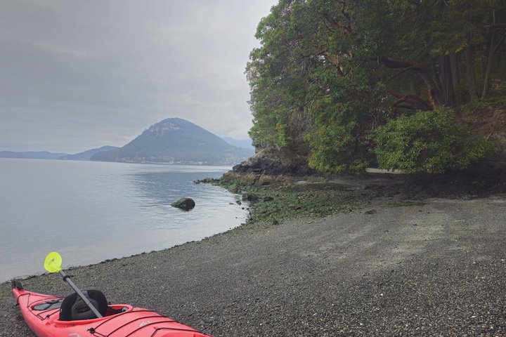 Tour in kayak costiero di Rosario sull'isola delle Orche